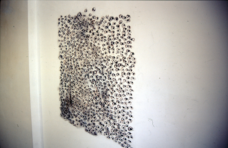 Wall drawing in the show Fiction at Pallas Heights, 2006